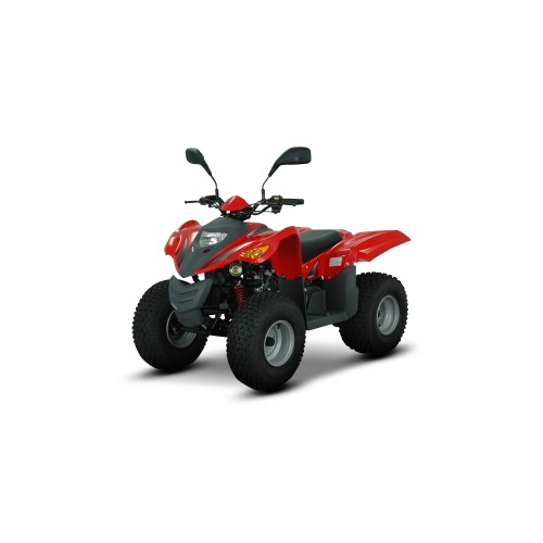 디앤에이모터스 올코트 100 ATV(도로주행불가)